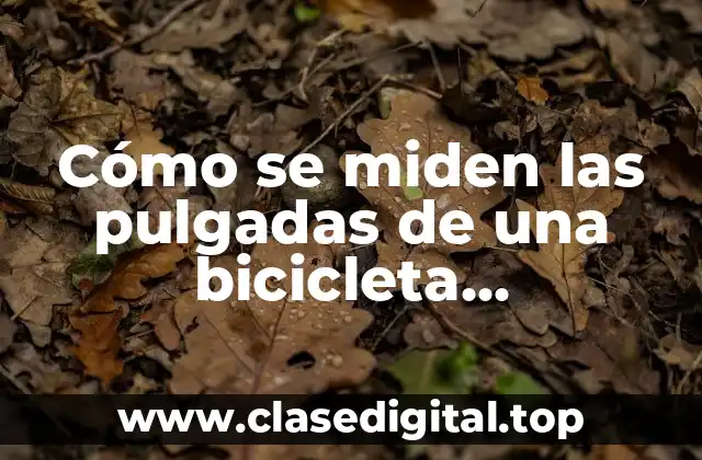 Cómo se miden las pulgadas de una bicicleta exactamente