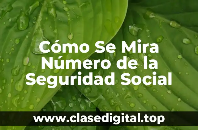 Cómo Se Mira Número de la Seguridad Social