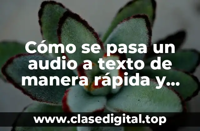 Cómo se pasa un audio a texto de manera rápida y precisa
