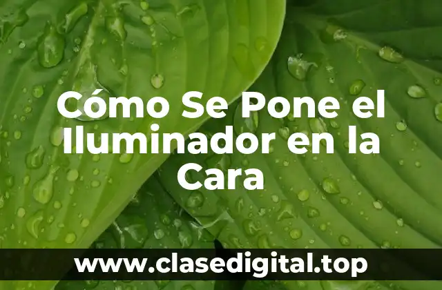 ¿Qué es el Iluminador y Cuál es su Función?