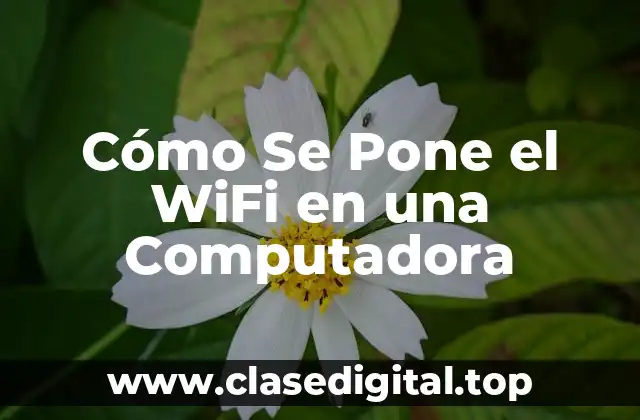 Cómo Se Pone el WiFi en una Computadora