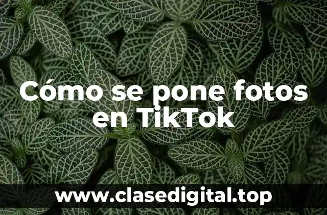 ¿Por qué publicar fotos en TikTok?
