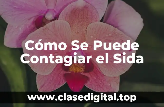 ¿Cuáles Son los Métodos de Transmisión del VIH?