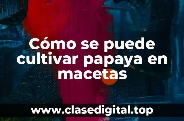 Ventajas de cultivar papaya en macetas