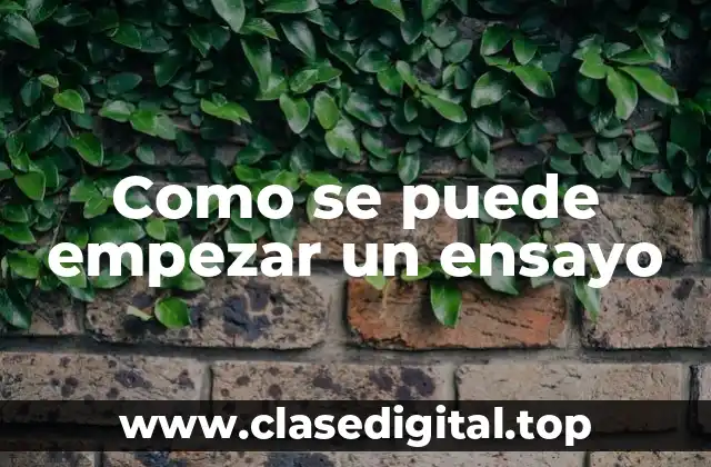 Como se puede empezar un ensayo