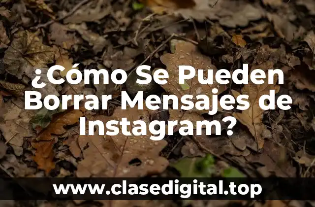 ¿Cómo Se Pueden Borrar Mensajes de Instagram?