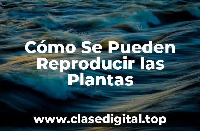 Cómo Se Pueden Reproducir las Plantas