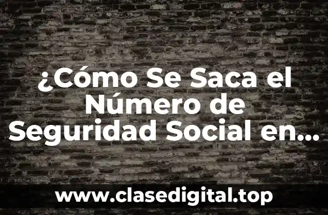 ¿Cómo Se Saca el Número de Seguridad Social en Estados Unidos?