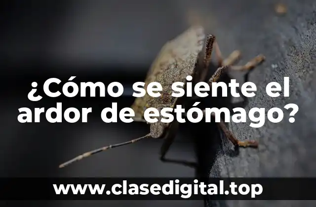 ¿Cómo se siente el ardor de estómago?