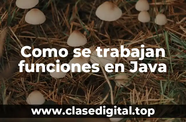 Como se trabajan funciones en Java