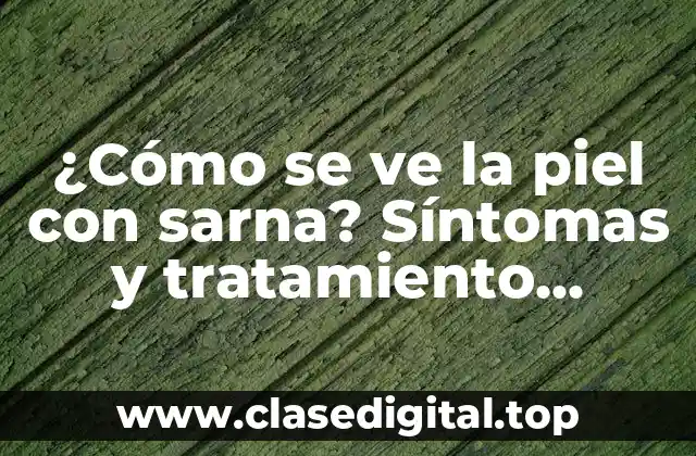 ¿Cómo se ve la piel con sarna? Síntomas y tratamiento efectivo