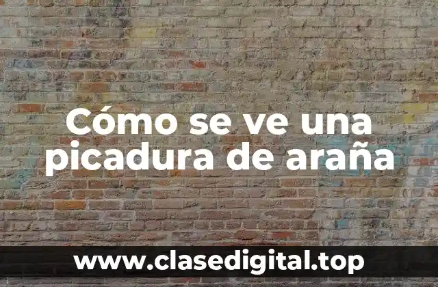 Cómo se ve una picadura de araña