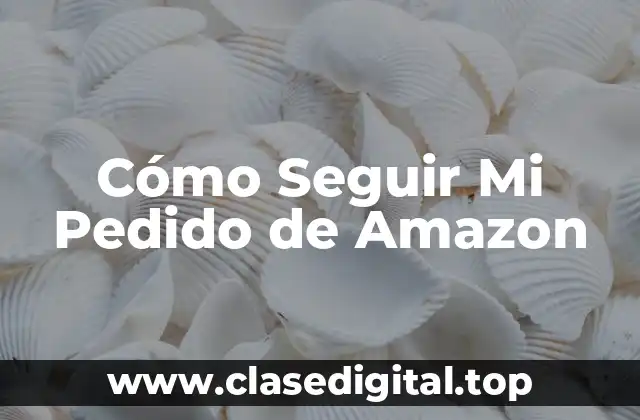 Cómo Seguir Mi Pedido de Amazon