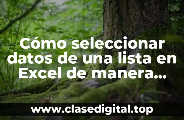 Cómo seleccionar datos de una lista en Excel de manera efectiva