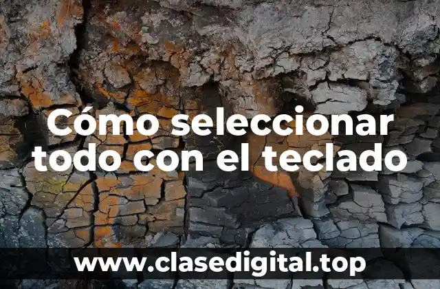 Cómo seleccionar todo con el teclado