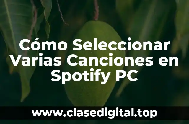Cómo Seleccionar Varias Canciones en Spotify PC