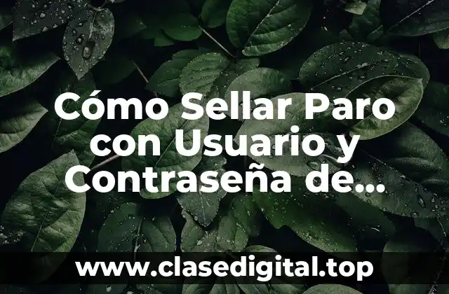Cómo Sellar Paro con Usuario y Contraseña de Forma Segura