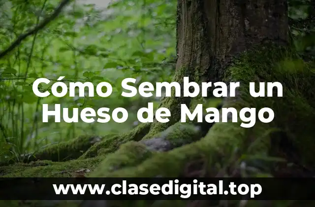 Elegir el Hueso de Mango Correcto