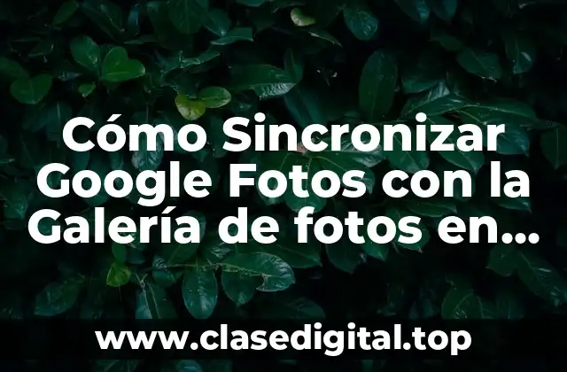 Cómo Sincronizar Google Fotos con la Galería de fotos en Android y iOS