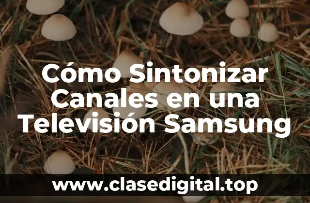 ¿Qué se Necesita para Sintonizar Canales en una Televisión Samsung?