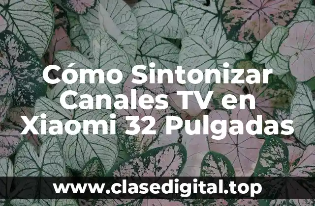 Requisitos Previos para Sintonizar Canales TV en Xiaomi 32 Pulgadas
