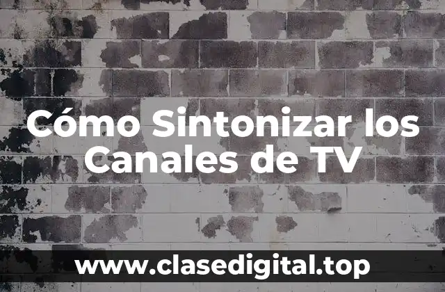 Cómo Sintonizar los Canales de TV