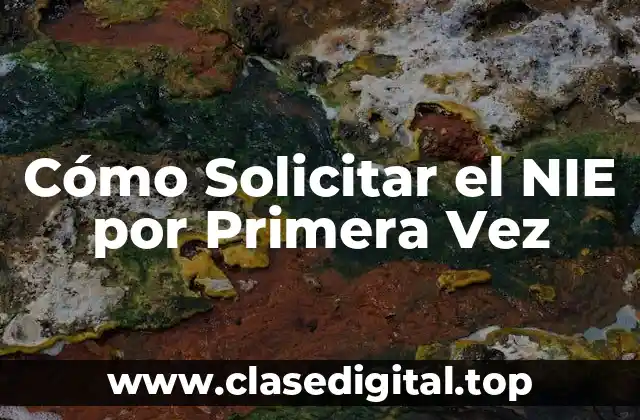 Cómo Solicitar el NIE por Primera Vez