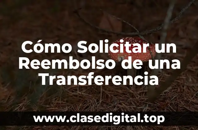 ¿Qué es un Reembolso de Transferencia?