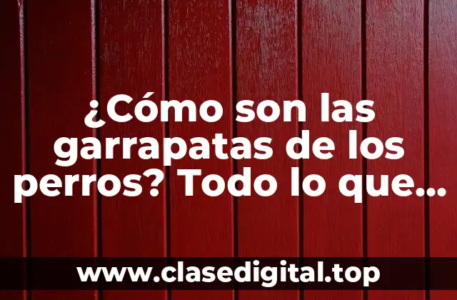 ¿Qué son las garrapatas de los perros?