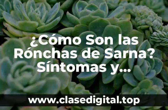 ¿Cómo Son las Rónchas de Sarna? Síntomas y Tratamiento