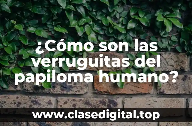 ¿Cómo son las verruguitas del papiloma humano?