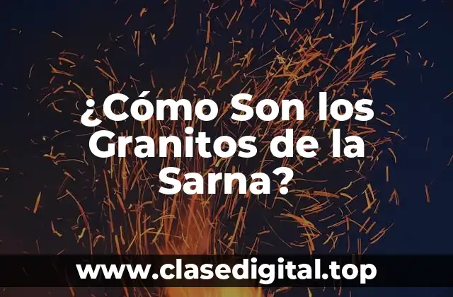 ¿Cómo Son los Granitos de la Sarna?