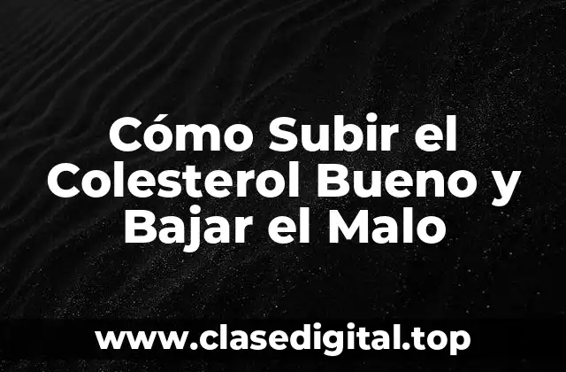 Cómo Subir el Colesterol Bueno y Bajar el Malo