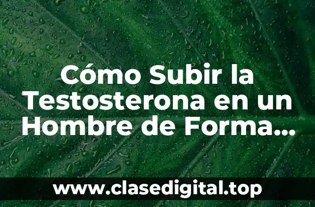 Cómo Subir la Testosterona en un Hombre de Forma Natural y Segura