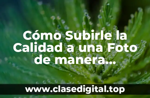 ¿Por qué es Importante la Calidad de la Foto?