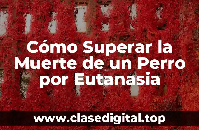 Cómo Superar la Muerte de un Perro por Eutanasia