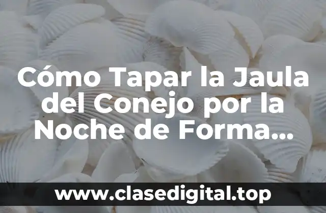 Cómo Tapar la Jaula del Conejo por la Noche de Forma Segura y Eficiente
