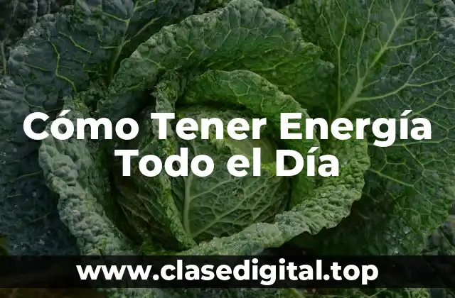 Cómo Tener Energía Todo el Día
