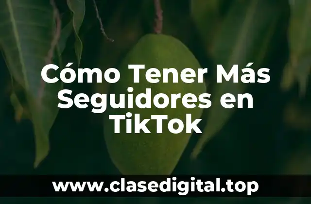 Cómo Tener Más Seguidores en TikTok
