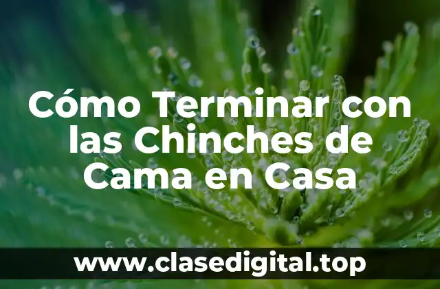 Cómo Terminar con las Chinches de Cama en Casa