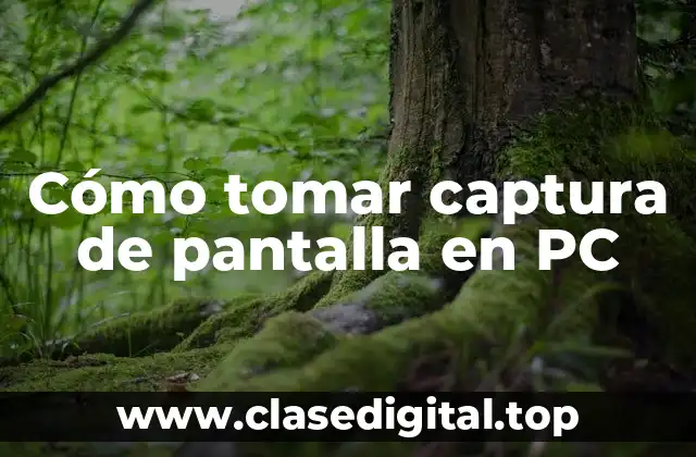 Cómo tomar captura de pantalla en PC