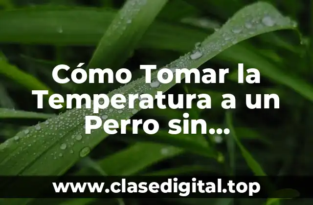 Cómo Tomar la Temperatura a un Perro sin Termómetro