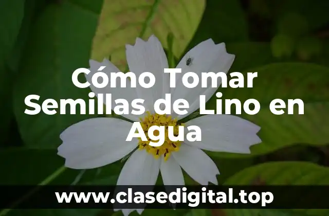 Cómo Tomar Semillas de Lino en Agua