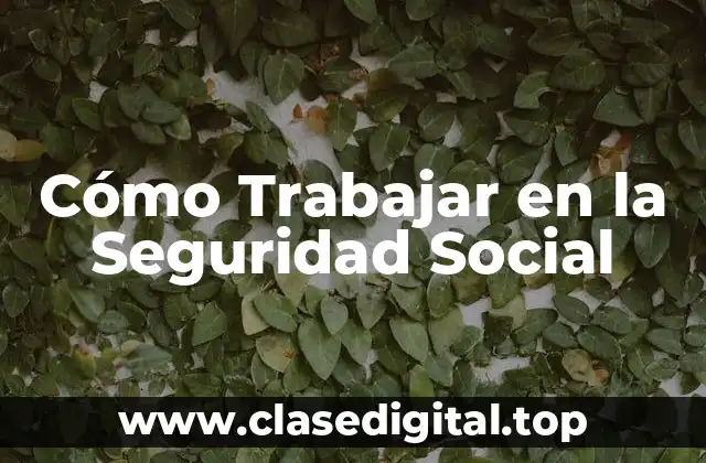 ¿Qué es la Seguridad Social y Cómo Funciona?