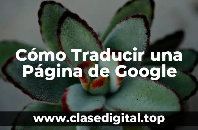 Cómo Traducir una Página de Google