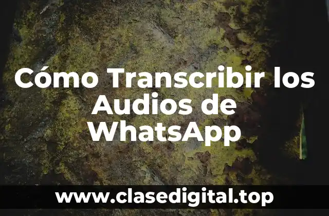 Cómo Transcribir los Audios de WhatsApp