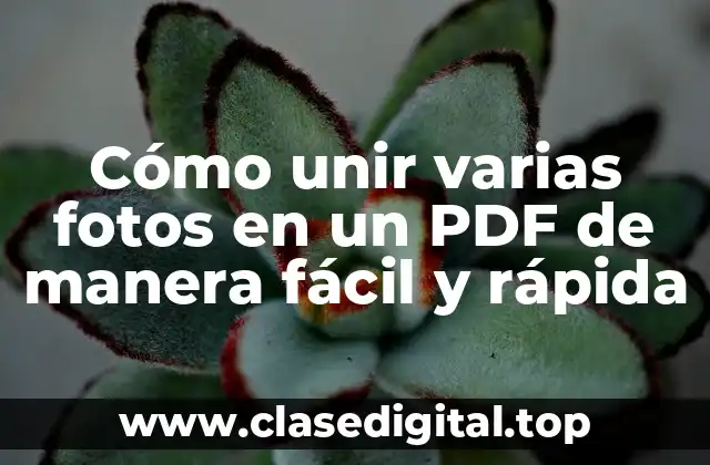 Cómo unir varias fotos en un PDF de manera fácil y rápida