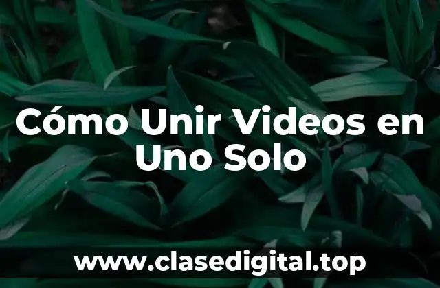 ¿Por qué es Importante Unir Videos en Uno Solo?