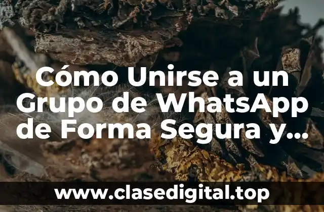 Cómo Unirse a un Grupo de WhatsApp de Forma Segura y Exitosa