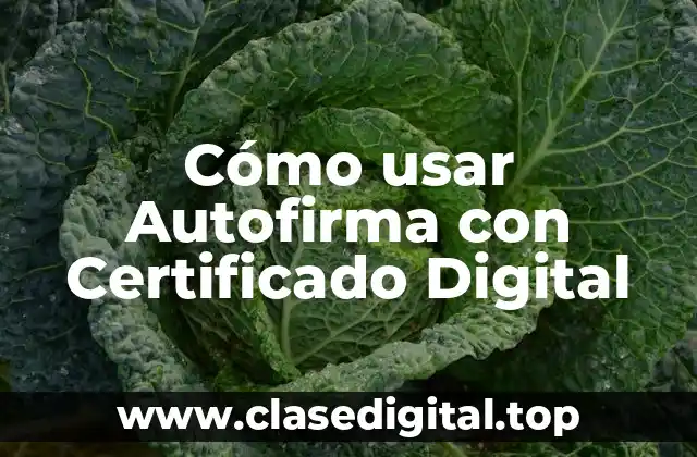 ¿Qué es Autofirma?